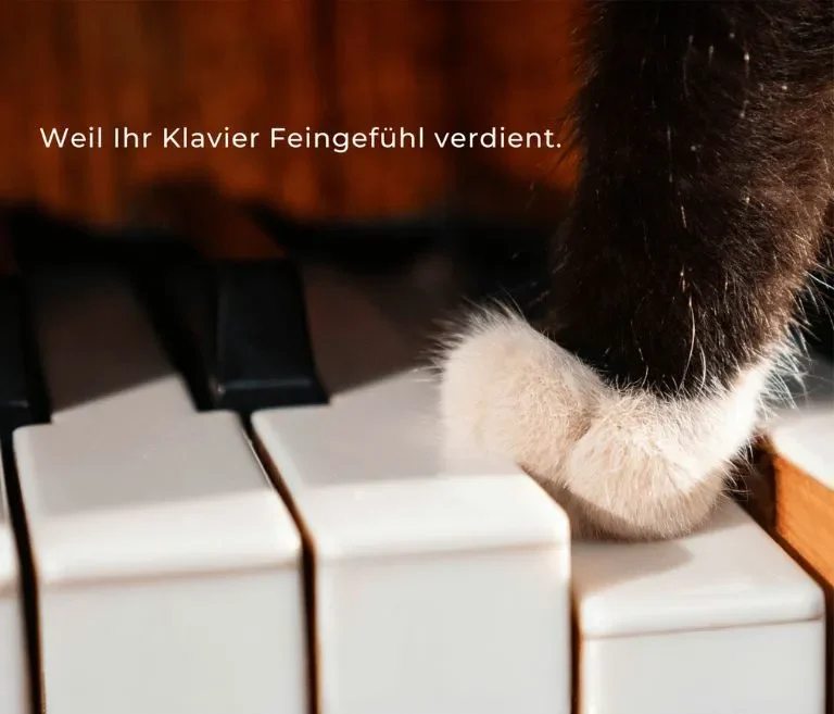 Werbung 1 Katzenpfote drückt Klaviertaste mit dem Slogan: "weil Ihr Klavier Feingefühl verdient"